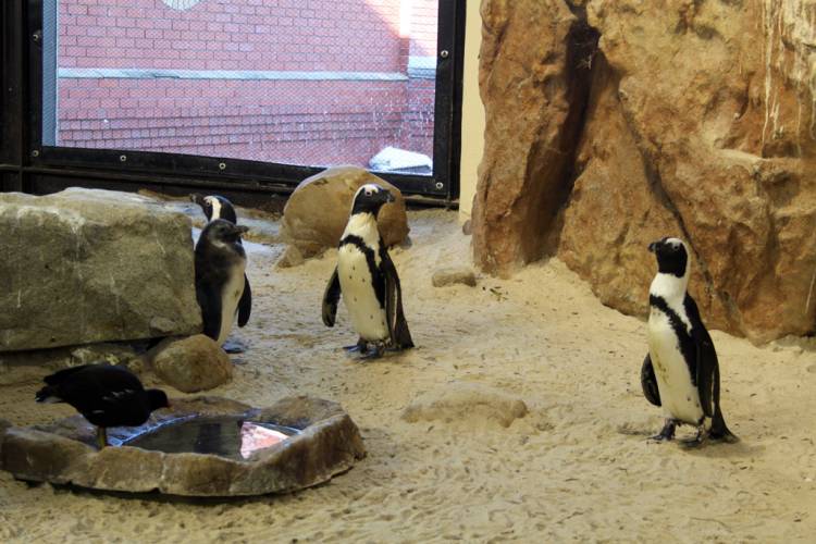 Two Oceans Aquarium, Cape Town