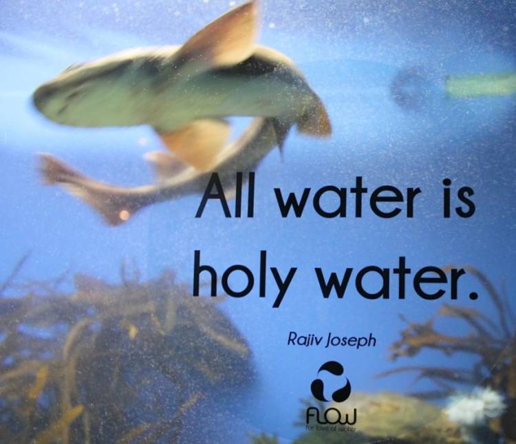 water quotes inspiration for love of water two oceans aquarium cape town south africa