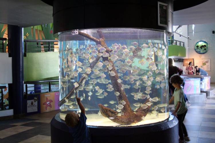 Two Oceans Aquarium, Cape Town