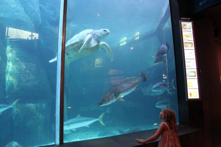 Two Oceans Aquarium, Cape Town