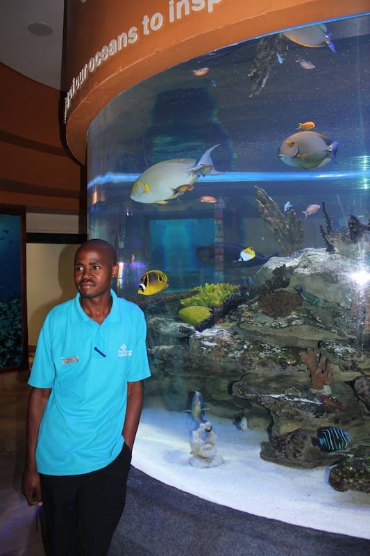 two oceans aquarium msa