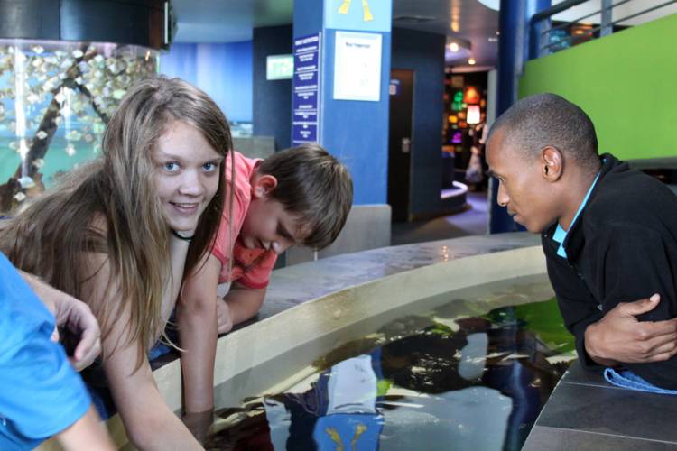 Two Oceans Aquarium, Cape Town