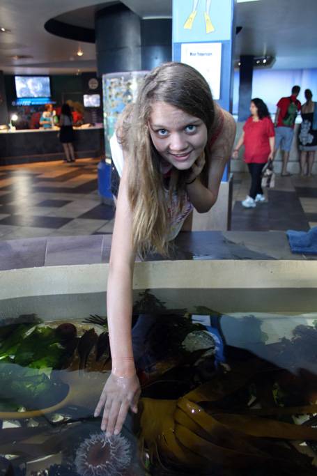 Two Oceans Aquarium, Cape Town