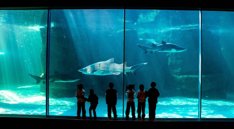 Cape Town International Boat Show 2018