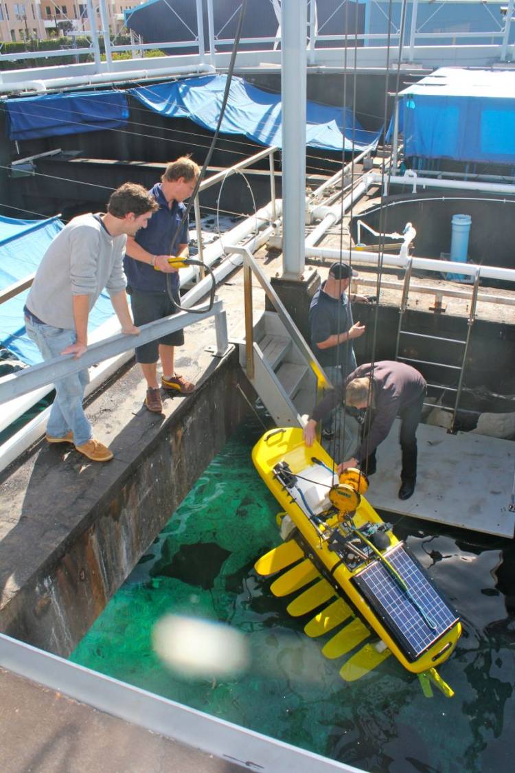 wave glider ocean glider autonomous marine robot robotics two oceans aquarium cape town south africa southern ocean