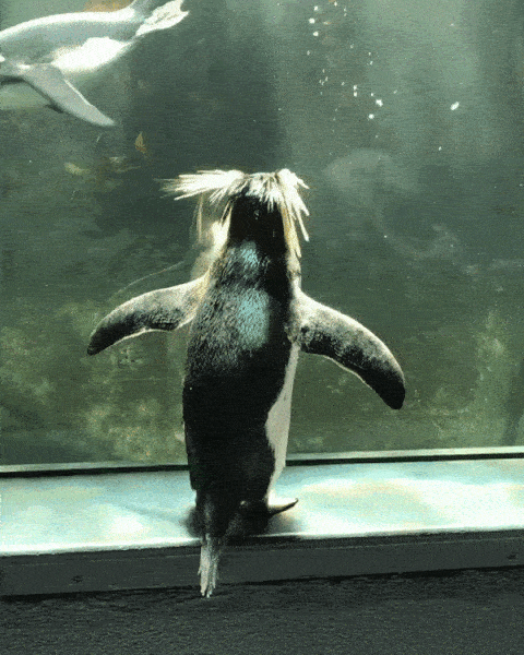 How did you get in there?