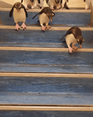 Stair hops