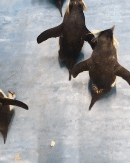 Nothing to see here gang