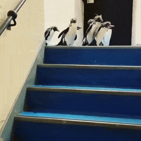 To the stairs - again!